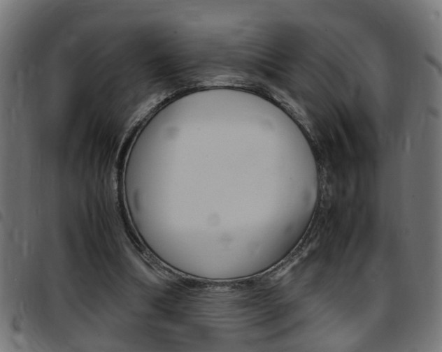 X0000097780298200803070919