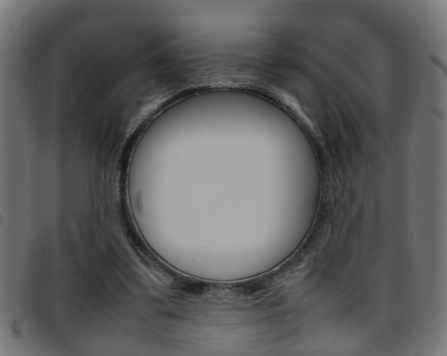 X0000097780299200803070919