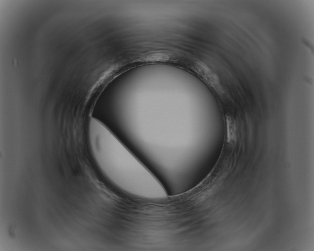 X0000097780300200803070919