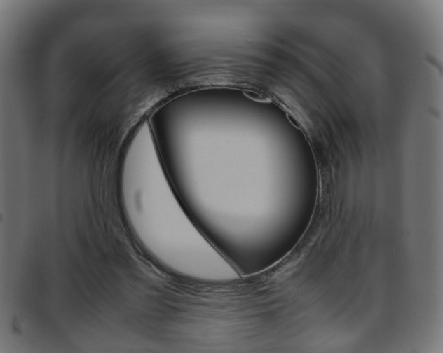 X0000097780301200803070919