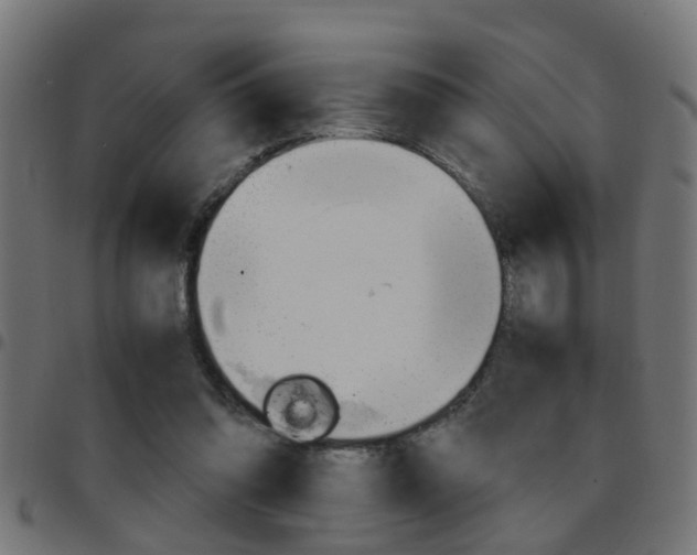 X0000097780302200803070919