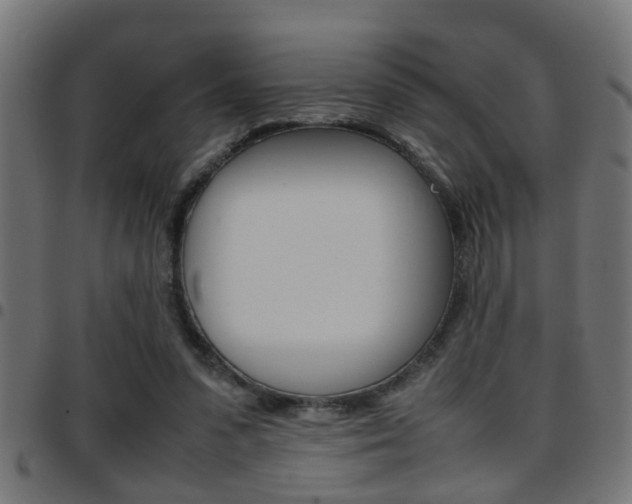 X0000097780303200803070919
