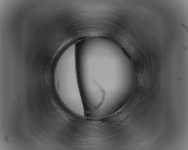 X0000097780304200803070919