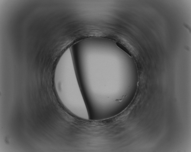 X0000097780305200803070919