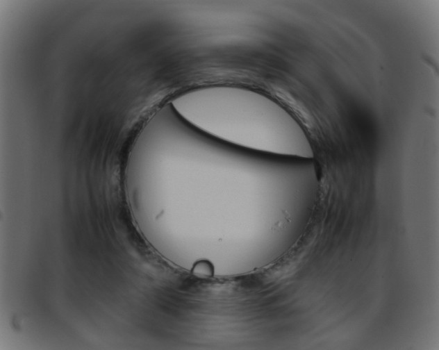 X0000097780306200803070919
