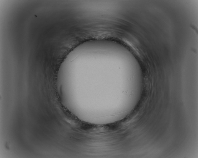 X0000097780307200803070919