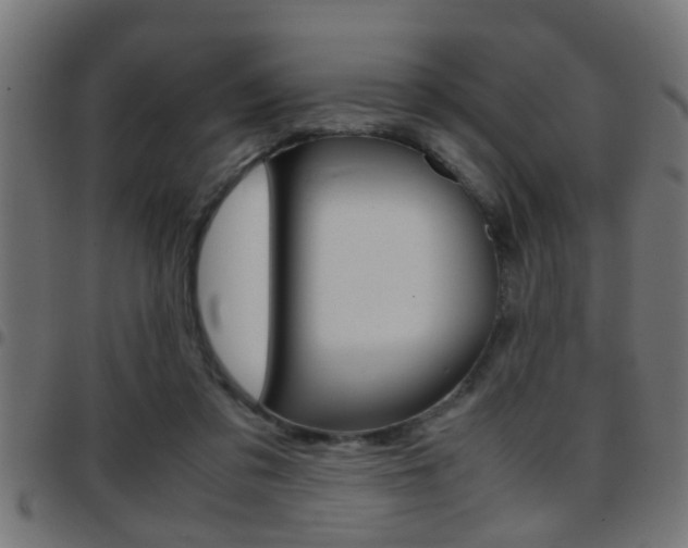 X0000097780309200803070919