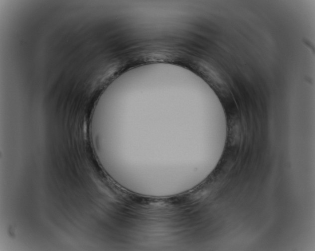 X0000097780310200803070919