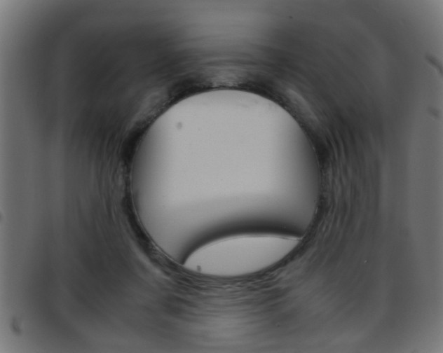 X0000097780311200803070919
