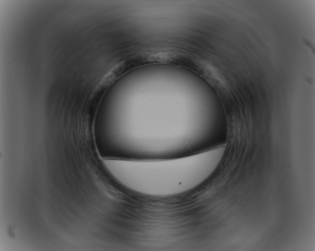 X0000097780312200803070919
