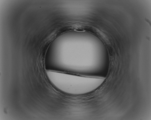 X0000097780313200803070919