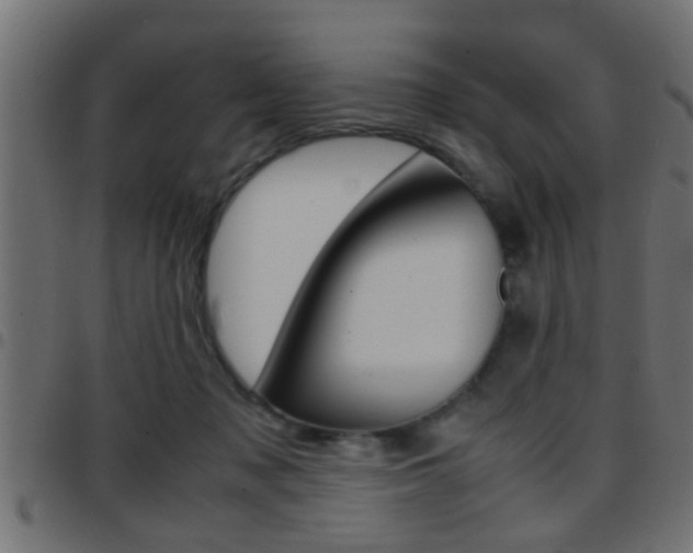 X0000097780317200803070919