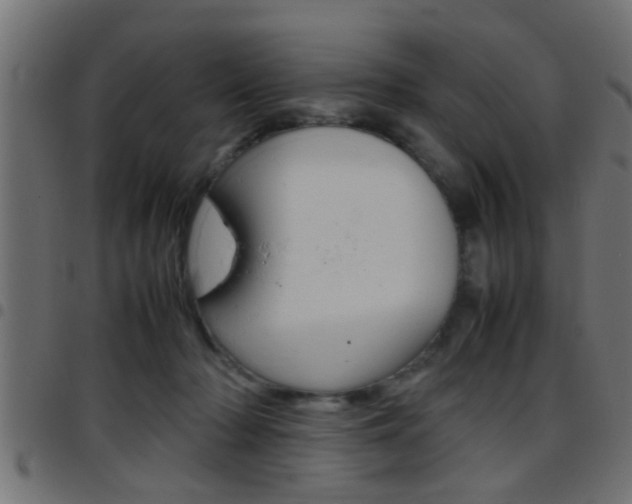 X0000097780318200803070919