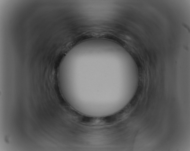 X0000097780319200803070919