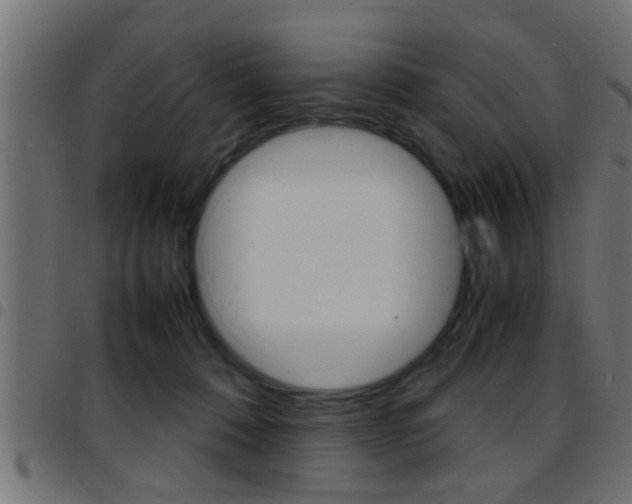 X0000097780320200803070919