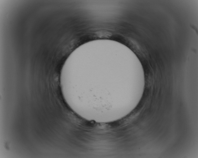 X0000097780321200803070919