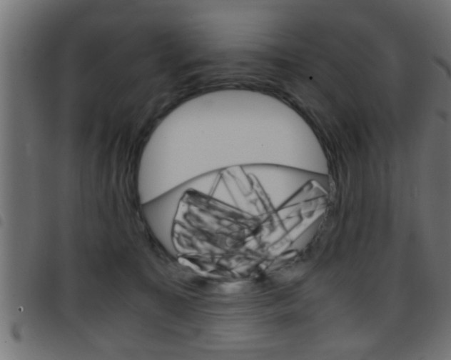 X0000097780323200803070918