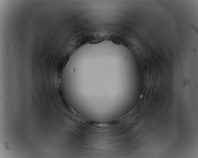 X0000097780324200803070918