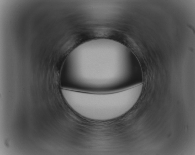 X0000097780325200803070918