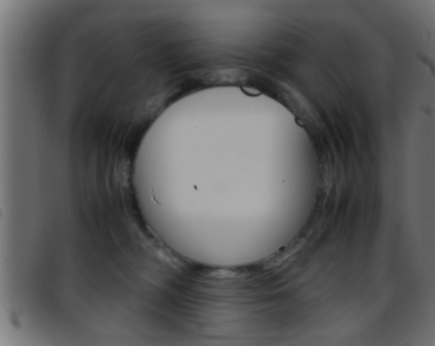 X0000097780326200803070918