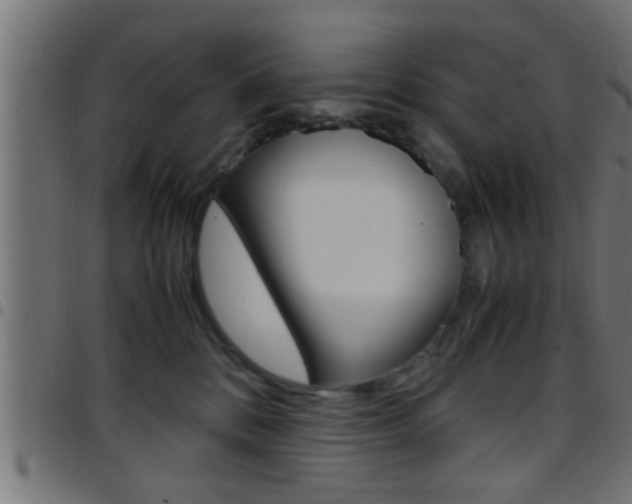 X0000097780328200803070918