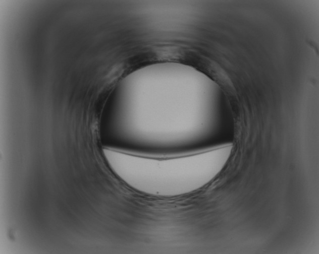 X0000097780329200803070918