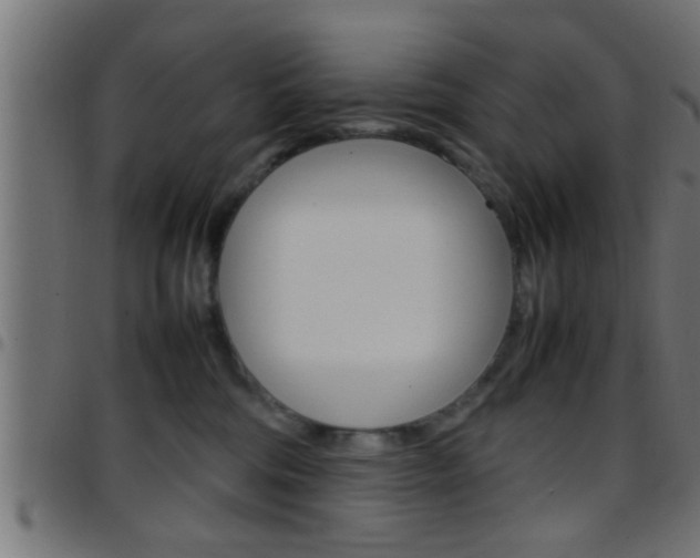 X0000097780330200803070918