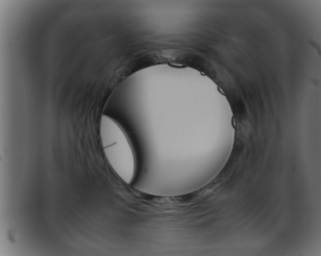 X0000097780331200803070918