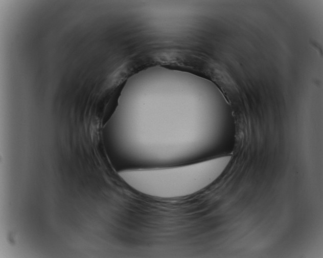 X0000097780332200803070918