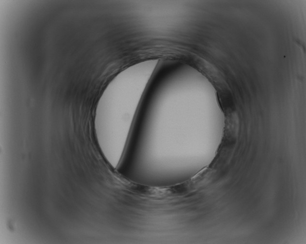 X0000097780333200803070918
