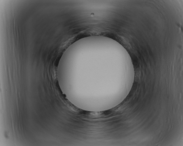 X0000097780335200803070918