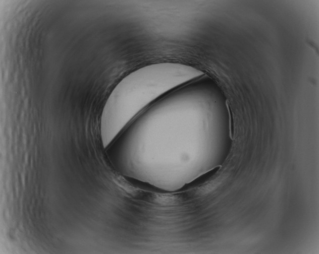 X0000097780336200803070918
