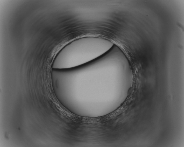 X0000097780337200803070918