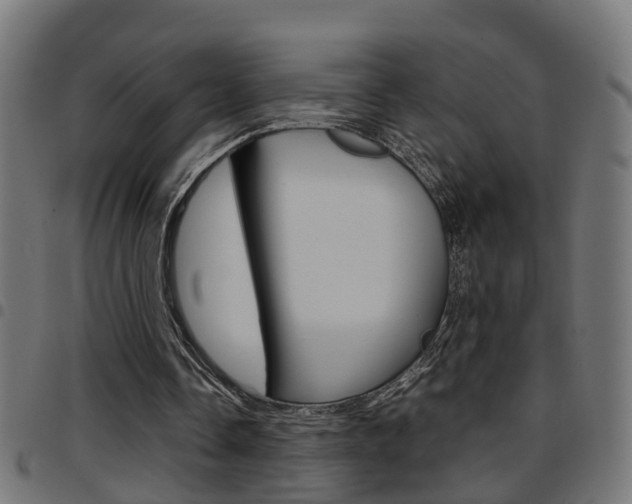 X0000097780338200803070918