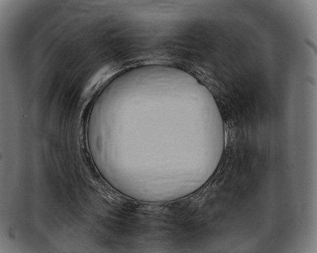 X0000097780339200803070918