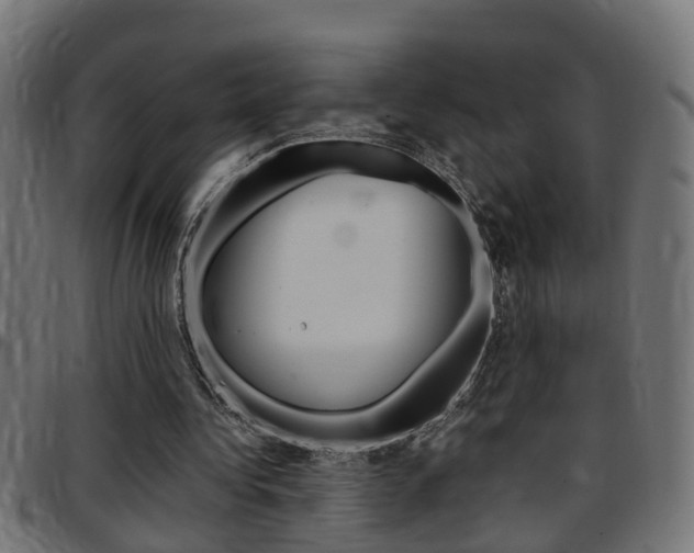 X0000097780340200803070918