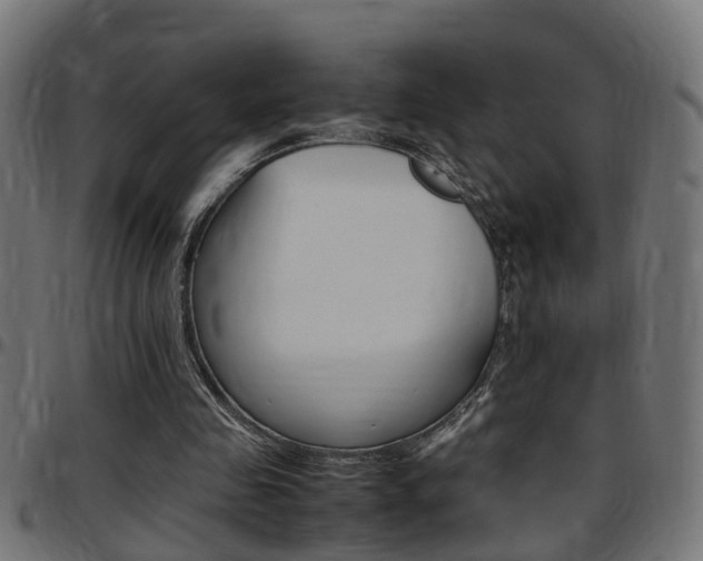 X0000097780341200803070918