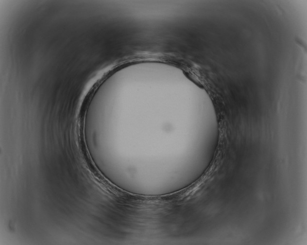 X0000097780342200803070918