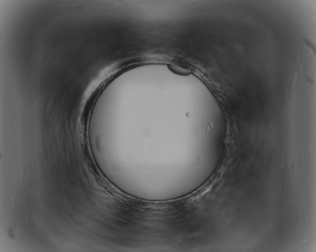X0000097780343200803070918