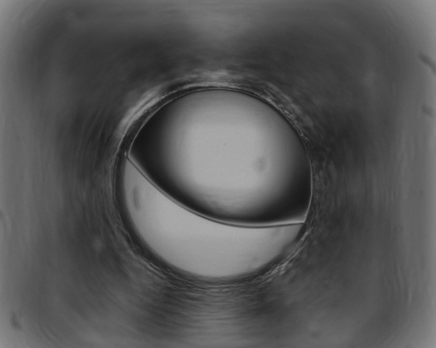 X0000097780344200803070918