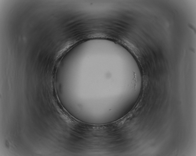 X0000097780345200803070918