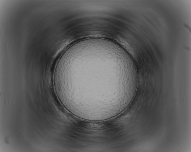 X0000097780347200803070918