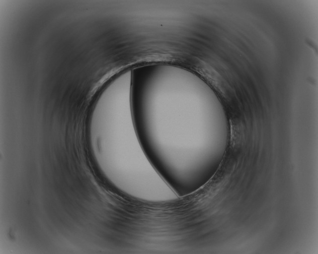 X0000097780348200803070918