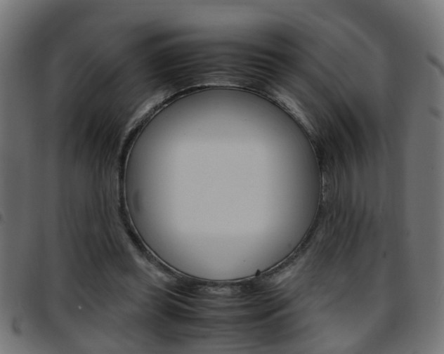 X0000097780349200803070918