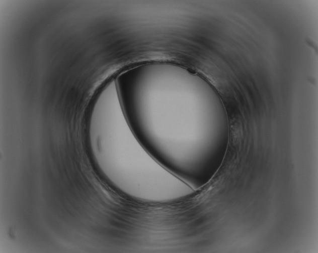 X0000097780350200803070918