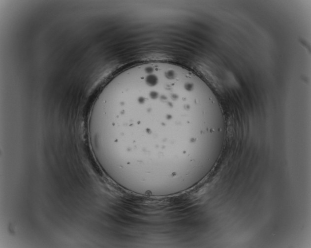 X0000097780351200803070918