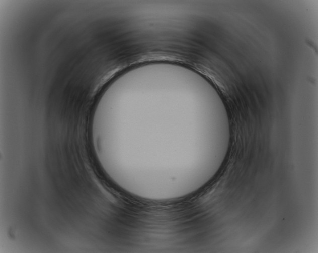 X0000097780352200803070918