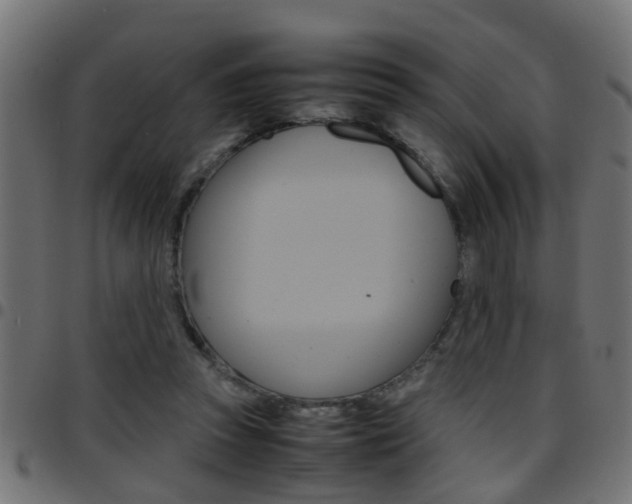 X0000097780353200803070918