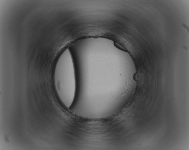 X0000097780354200803070918