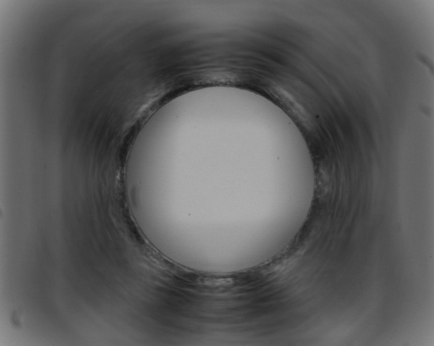 X0000097780355200803070918